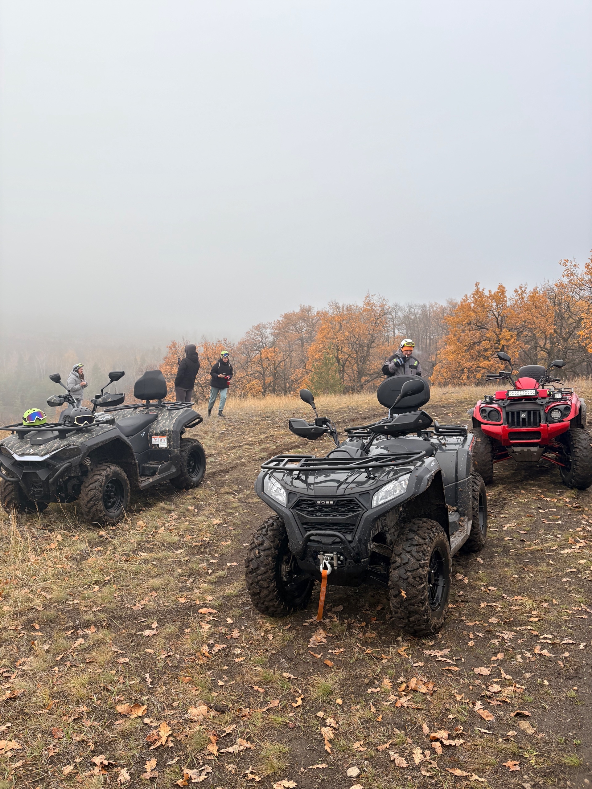 Фото на фоне Волги